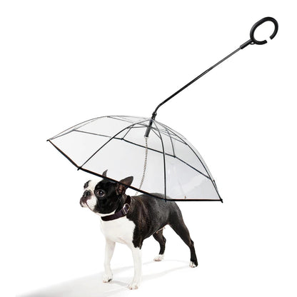 PawShield Transparent Dog Umbrella Leash 3