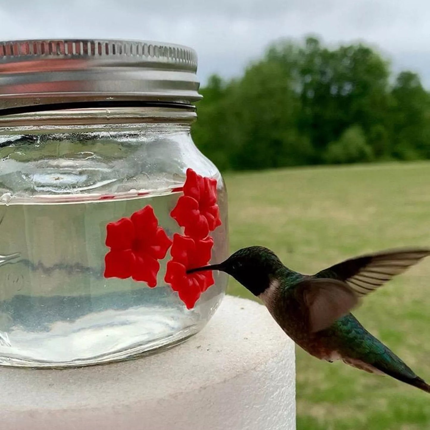 Mason Jar Hummingbird Feeder 3