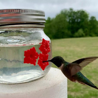 Mason Jar Hummingbird Feeder 3
