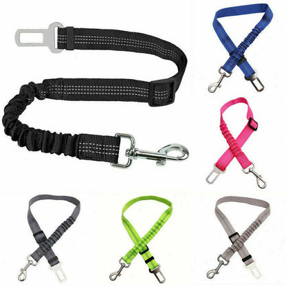 Dog Seat Belt Protects 3