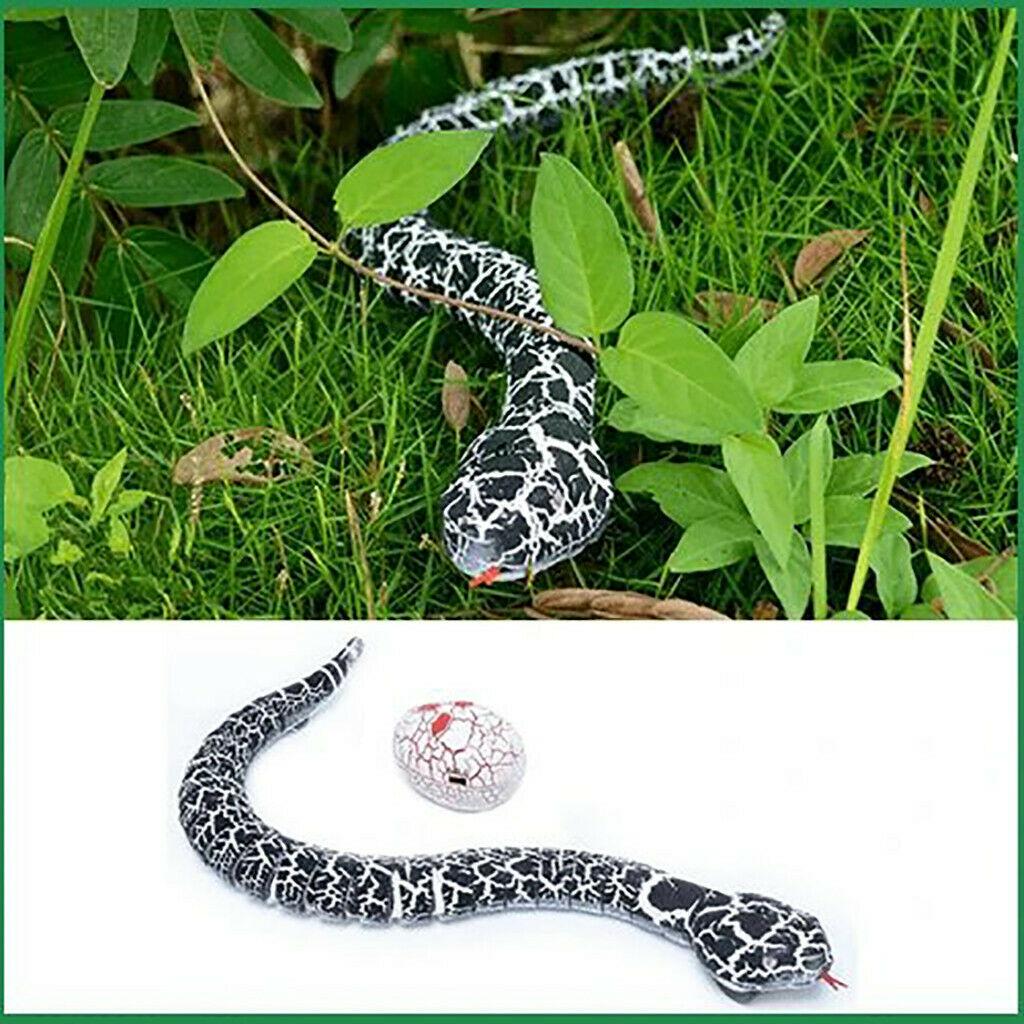 Remote Control Snake Toy 3