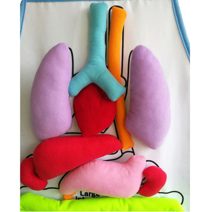 Kids Body Apron Toy 2