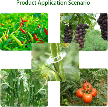 Plant Support Clips-100PCS 3