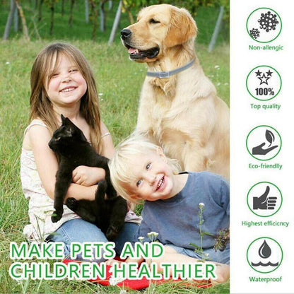 Electric Flea Comb For Pets 3