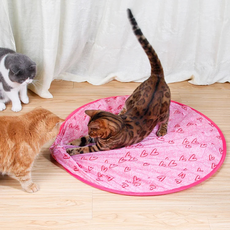 2 in 1 Simulated Interactive Hunting Cat Toy 3