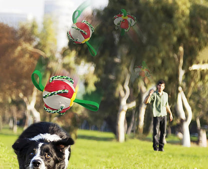 Interactive Dog Toy 3
