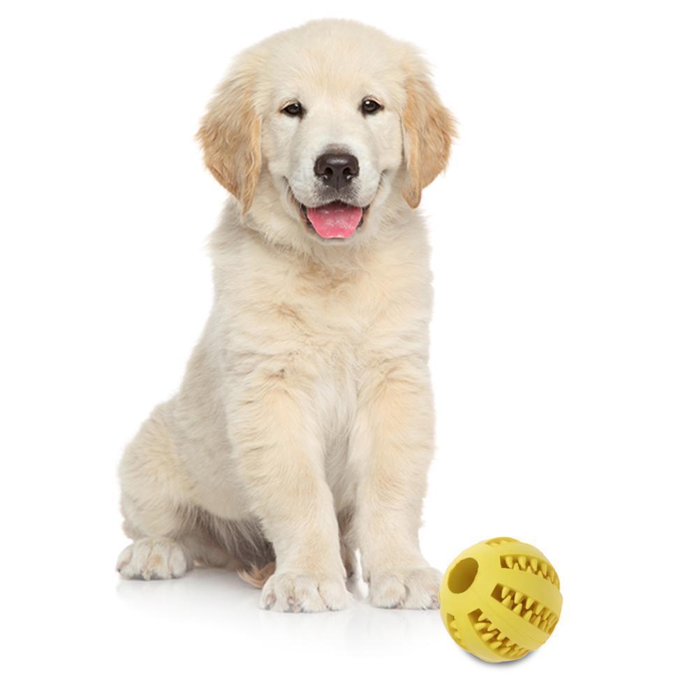 PET RUBBER BALL 3