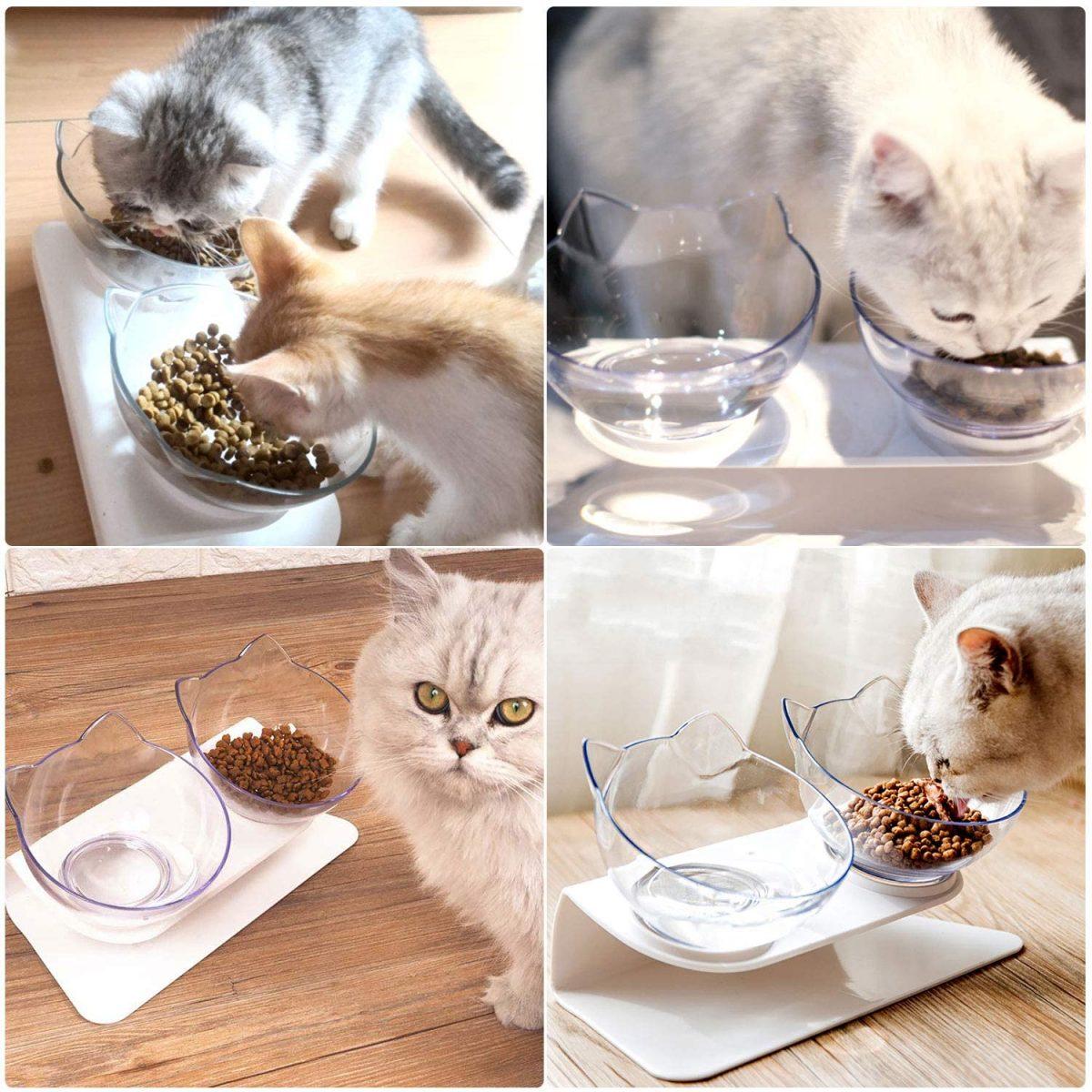 Elevated Cat Bowl 3