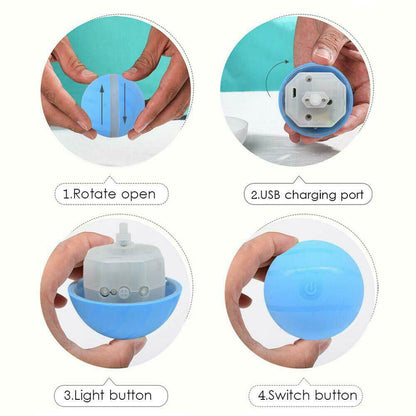 Motion Ball For Pets 3
