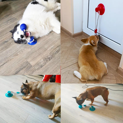 Multifunction Dog Molar Teeth Cleaning Bite Toy 3