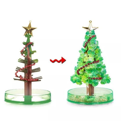 Magic Growing Christmas Tree 3