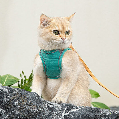 Cat Harness 2