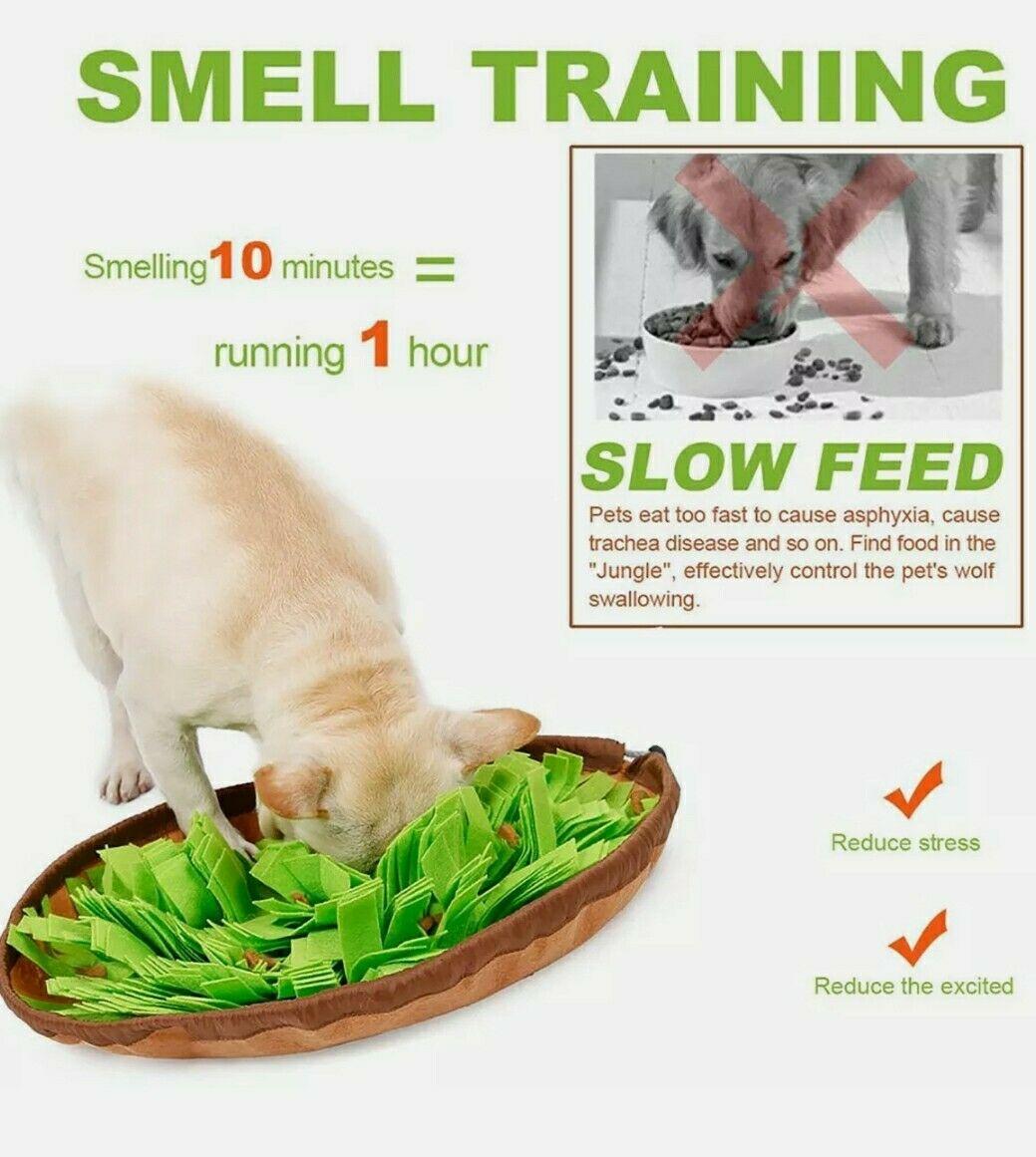 Dog sniffing pad 3