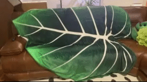 Giant Leaf Blanket 3