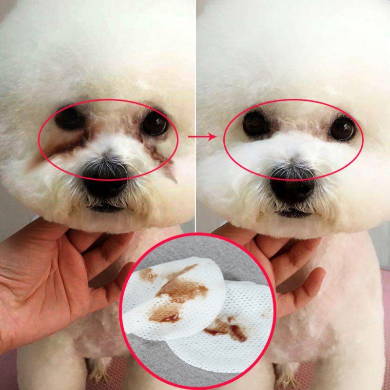 Pet Eye Grooming Wipes 3