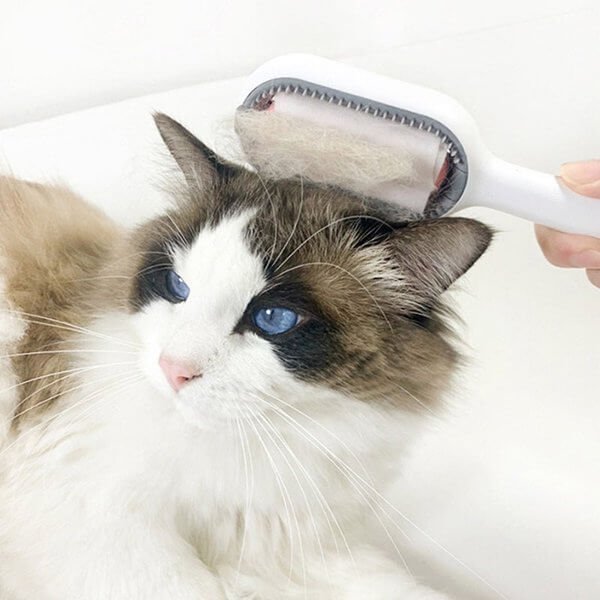 Pet Cleaning Hair Removal Comb 3
