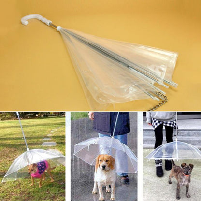 Transparent Dog Umbrella 3