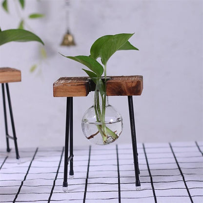 Plant terrarium with wooden stand 2