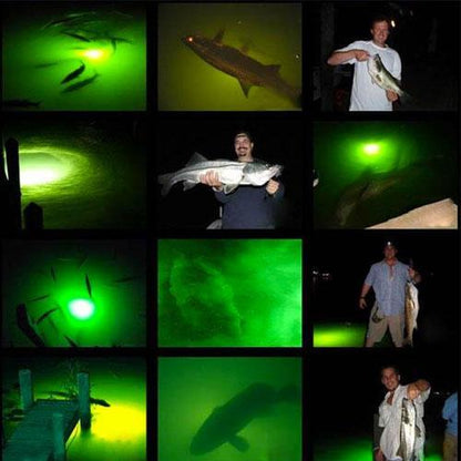 Fishing green light 3