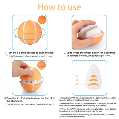 Remote Control Pet Bounce Ball 3