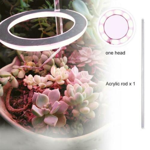 Grow Lights for Indoor Plants 3