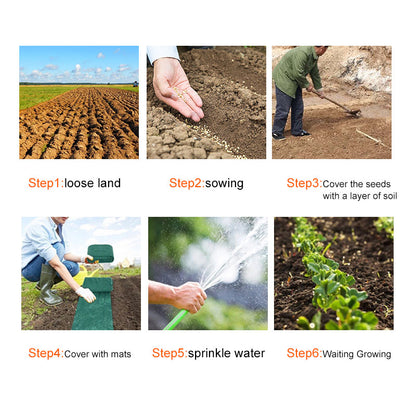 Grass Seed Mat 3