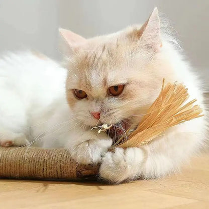 CAT SILVERVINE CHEWING STICK 3
