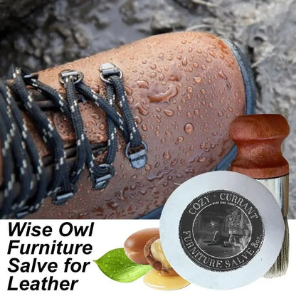 Furniture Salve & Brush 3
