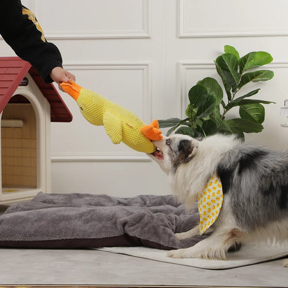 Quack-Quack Duck Dog Toy 3