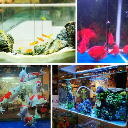 Eco-Aquarium Water Purifier Cube 3