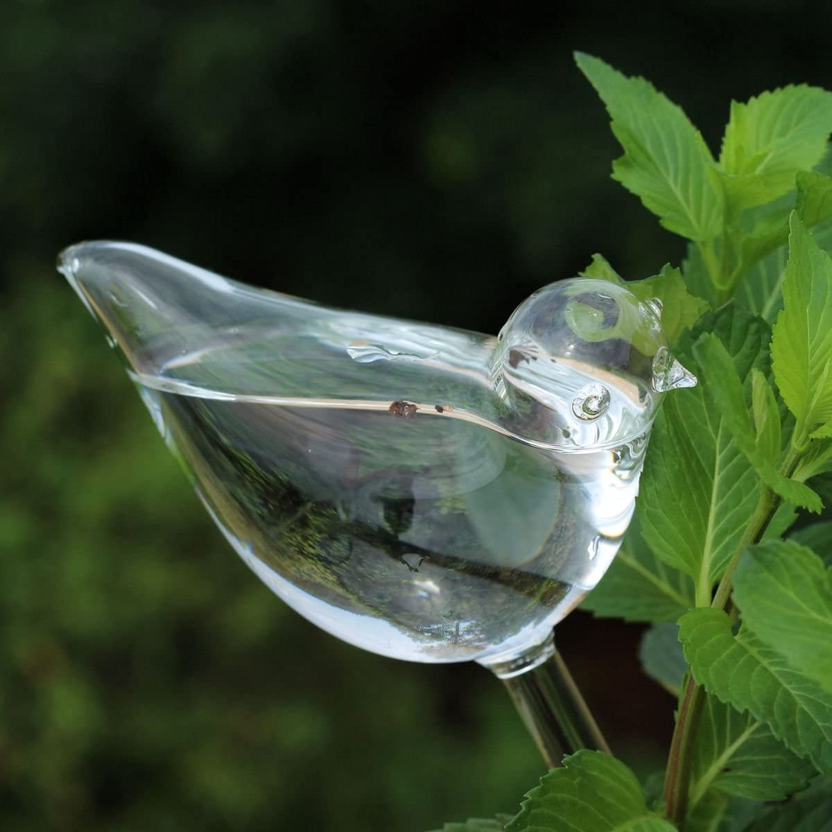 Self-Watering Plant Glass Bulbs 3