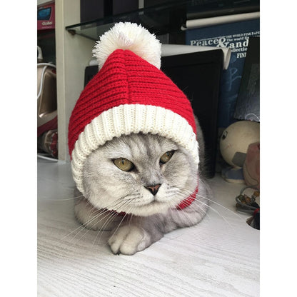 Stylish Pet woollen Hat 3