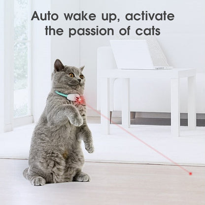 Amusing Collar for Kitten 3