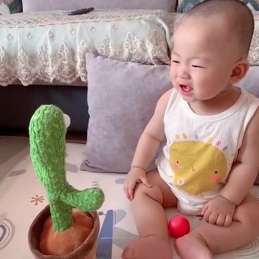 Funny Talk-Back Dancing Cactus 3