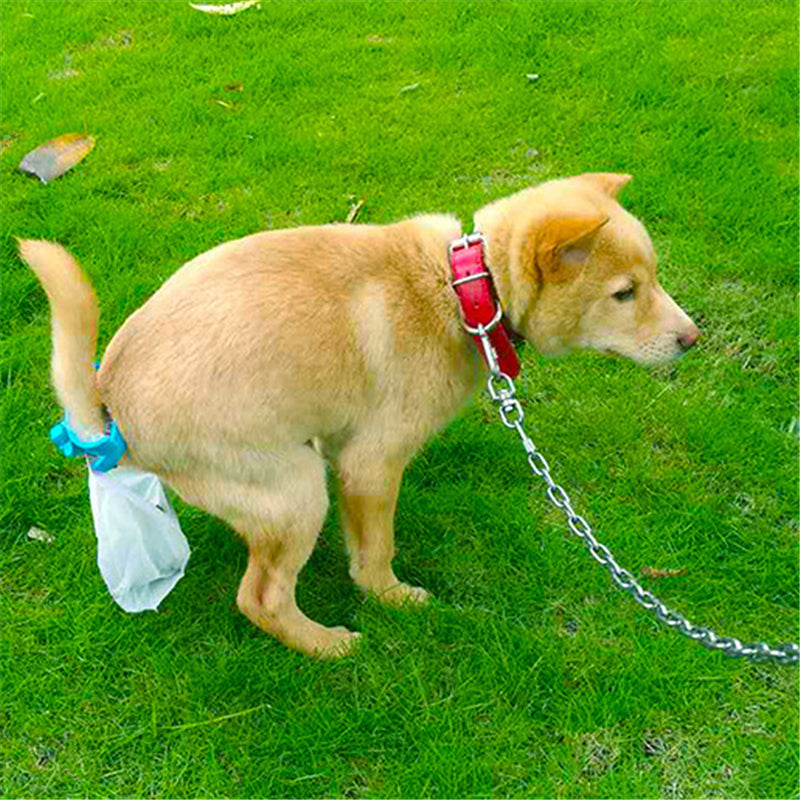 Hands free dog poop collector 3