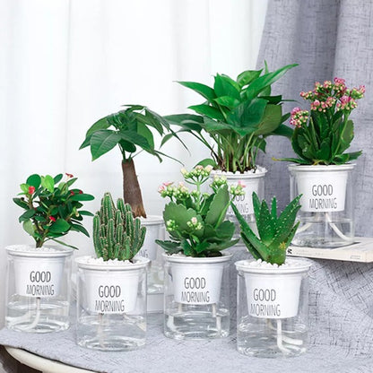 Hydroponic Flowerpot 3