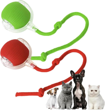 Interactive Cat Toy 3
