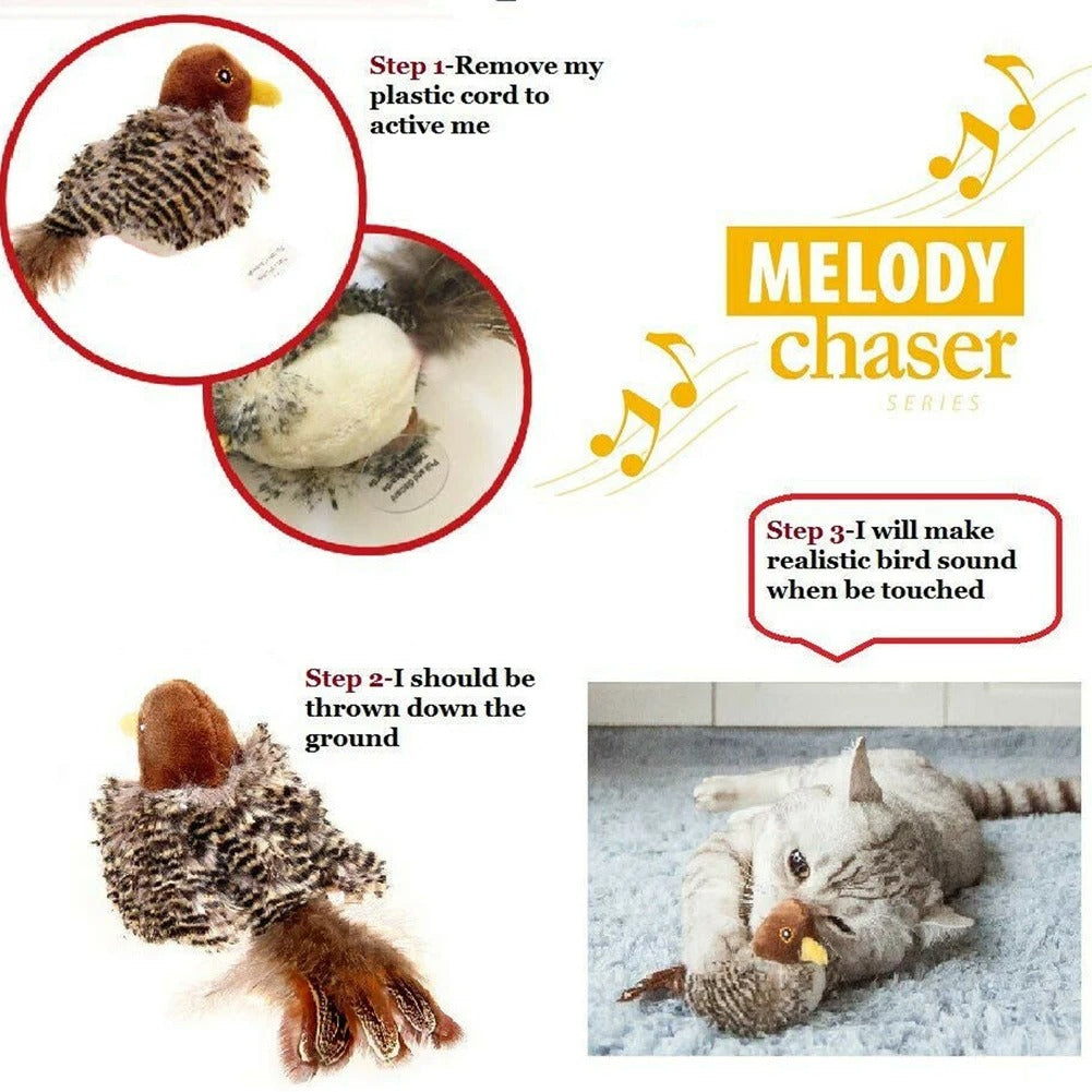 Interactive Cat Toy 3