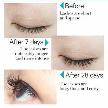 Eyelash and Eyebrow Growth Serum 3
