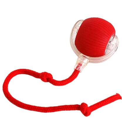 BounceTug Play Ball – Interactive Pet Toy 3
