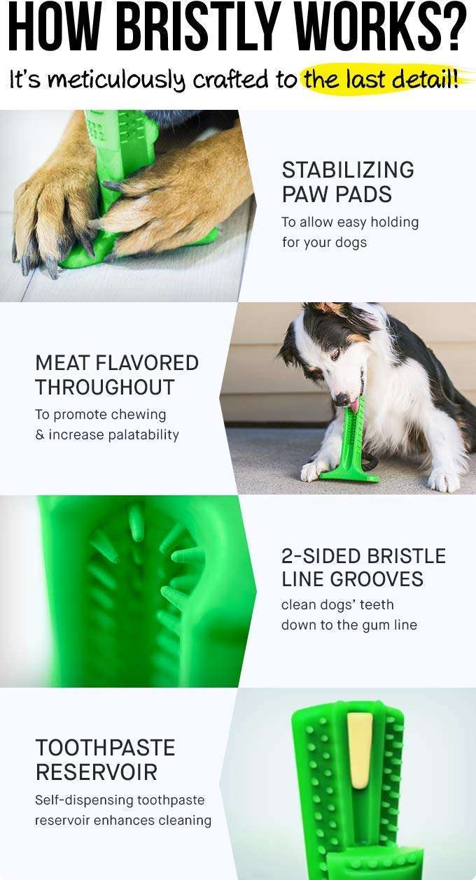 STRESS-FREE DIY DOG TOOTHBRUSH 3