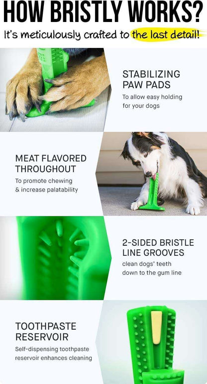 STRESS-FREE DIY DOG TOOTHBRUSH 3