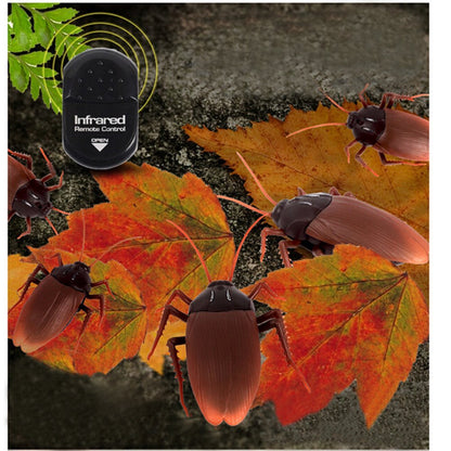 Remote Controlled Cockroach 3