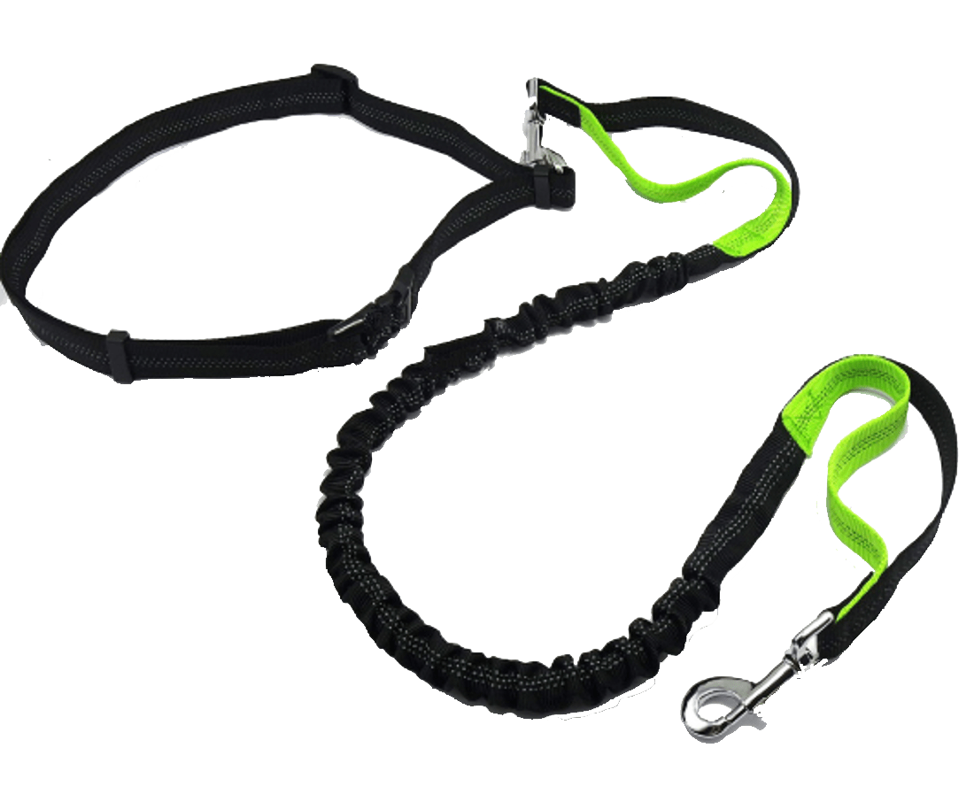 Hands-free Dog Leash/Heavy Duty 3