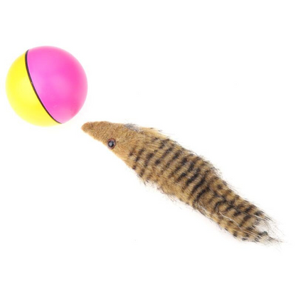 ELECTRIC BEAVER BALL 3