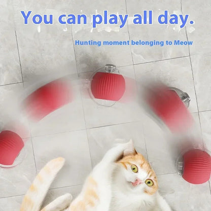 Pet Smart Interactive Rolling Ball With Tail 3