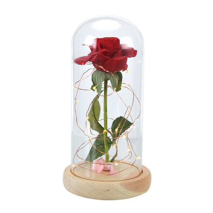 Enchanted Rose Flower 3