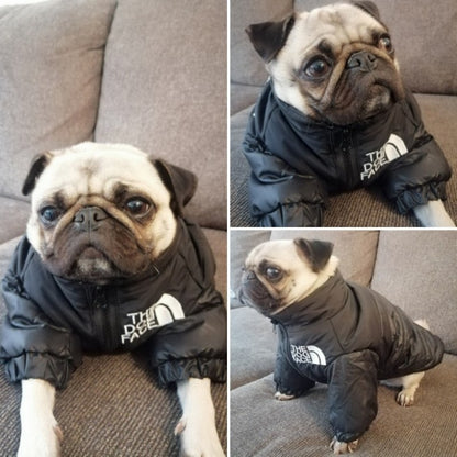 Dog Face Puffer Coat 3