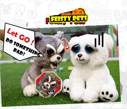 Transforming Pet Plushie 3