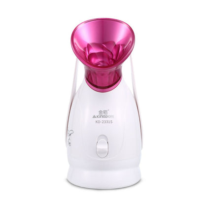 Deep Cleaning Facial Steamer 3